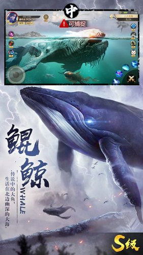 (山海经异兽录 阵容搭配)山海经异兽录平民玩家适用阵容详解及组建建议